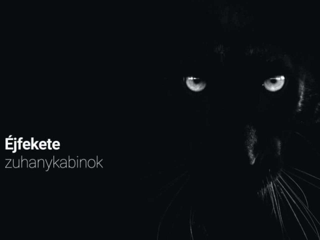 Fekete zuhanykabinok