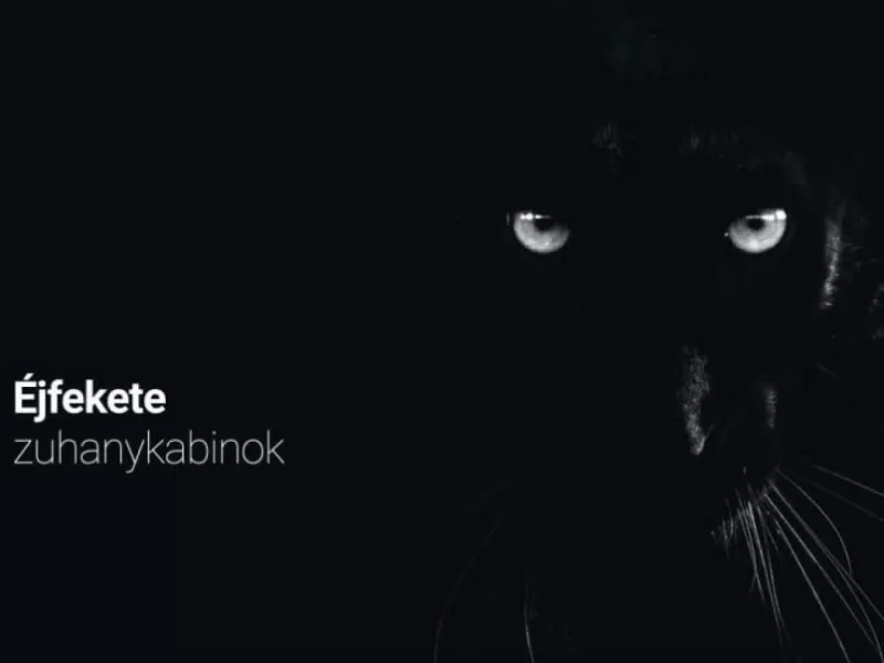 Fekete zuhanykabinok